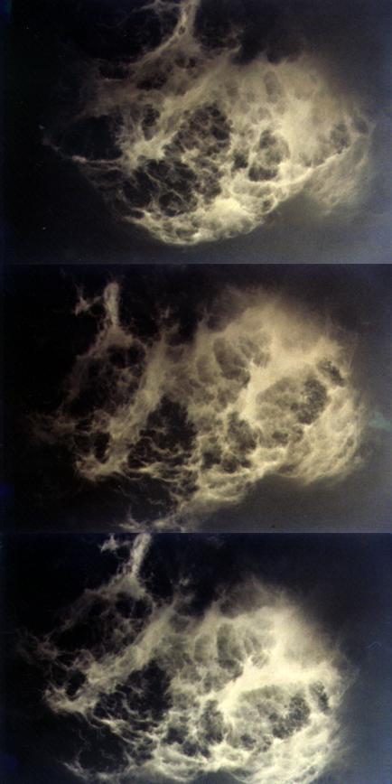 R&auml;tselbild (41k)